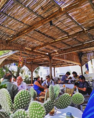 For coffee and brunch in Koufonisia, our top choice is always Kalamia Cafe! 12 For coffee and brunch in Koufonisia, our top choice is always Kalamia Cafe! » kalamia 4